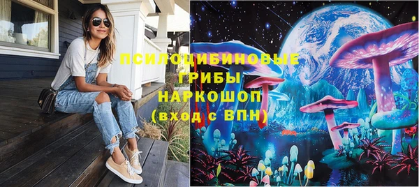 прущая мука Вяземский