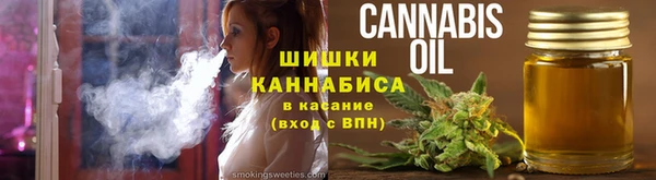 прущая мука Вяземский