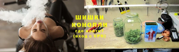 прущая мука Вяземский