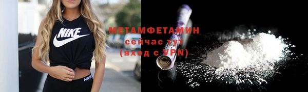 прущая мука Вяземский