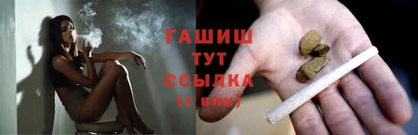 прущая мука Вяземский