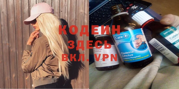 прущая мука Вяземский
