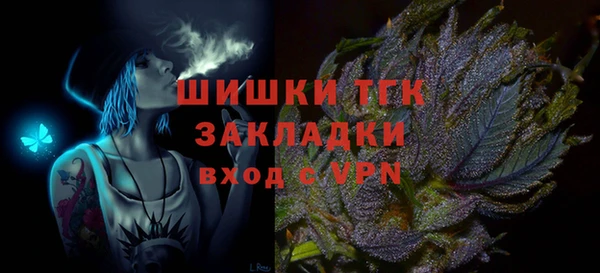прущая мука Вяземский